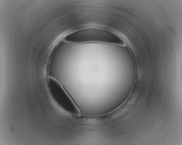 X0000115590946200911100928