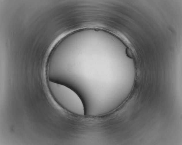 X0000115590947200911100928
