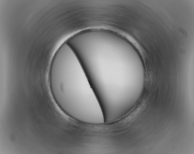X0000115590951200911100928