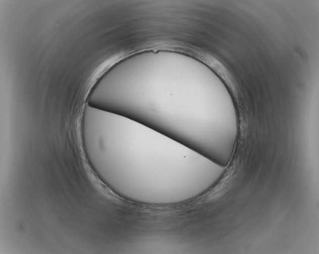 X0000115590954200911100928