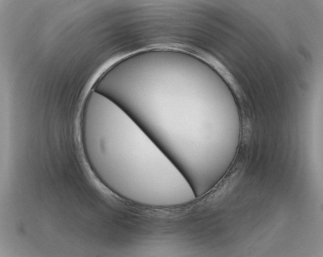 X0000115590955200911100928