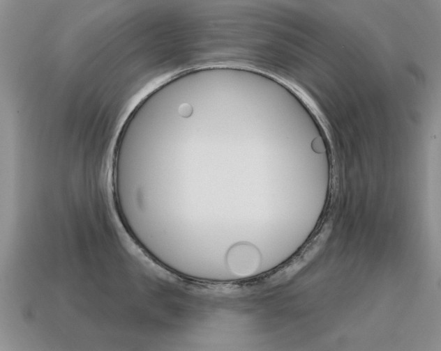 X0000115590957200911100928