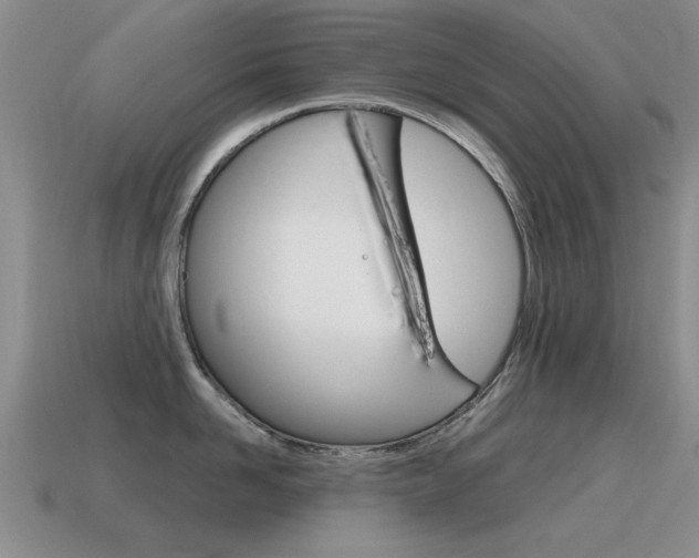 X0000115590958200911100928
