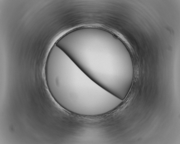 X0000115590959200911100928