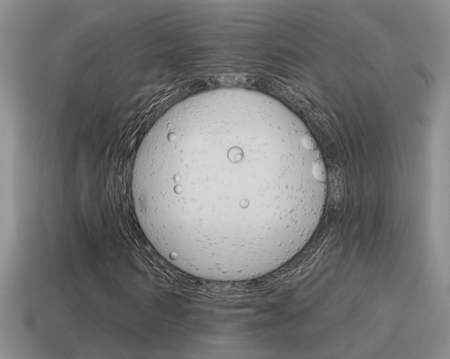 X0000115590962200911100928