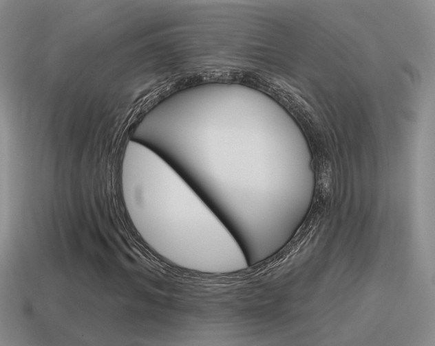 X0000115590964200911100928