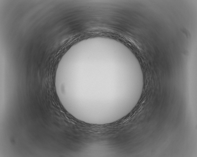 X0000115590965200911100928