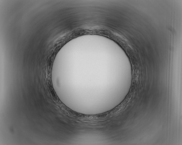 X0000115590966200911100928