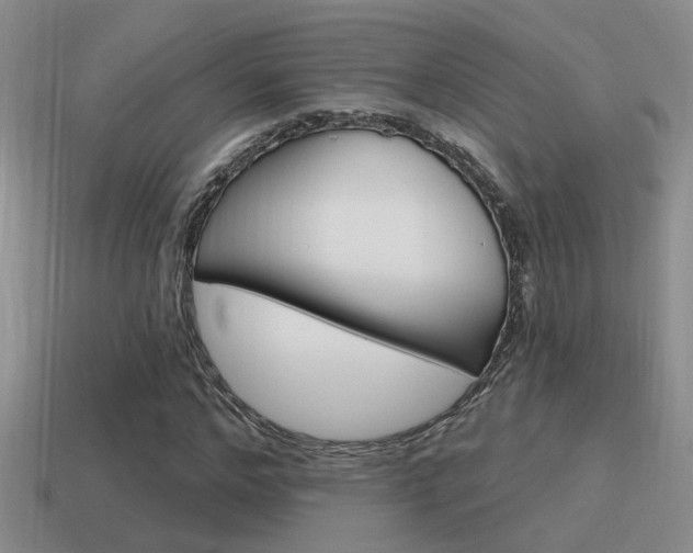 X0000115590968200911100928