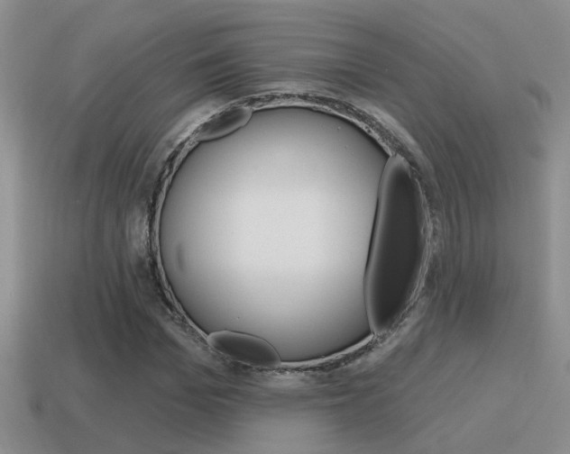 X0000115590969200911100928
