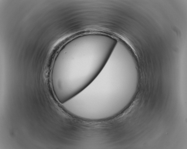 X0000115590971200911100928