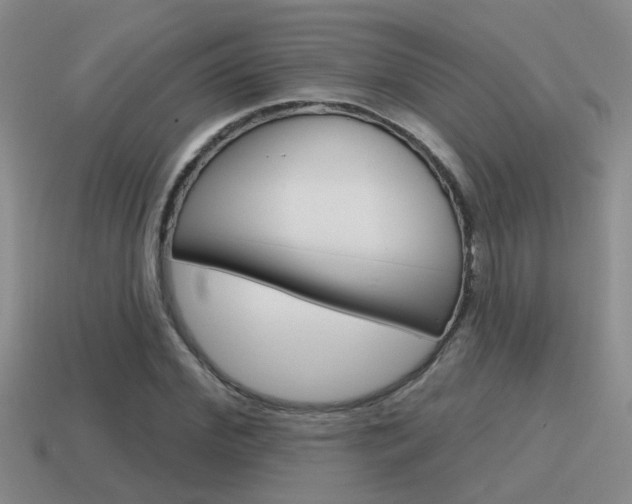 X0000115590972200911100928