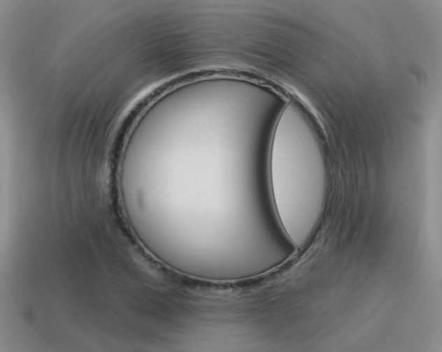 X0000115590975200911100927