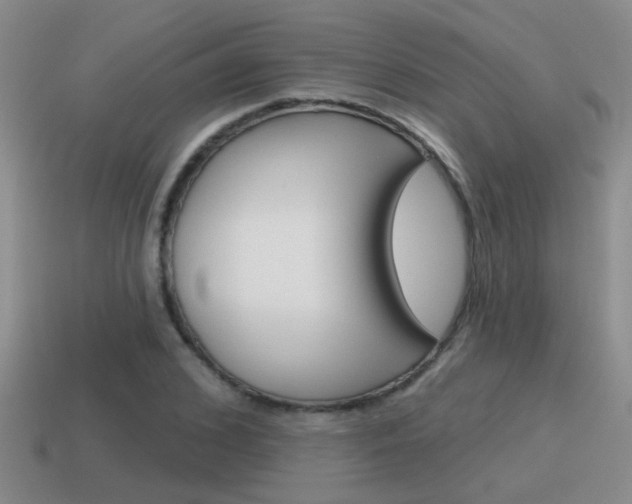 X0000115590976200911100927