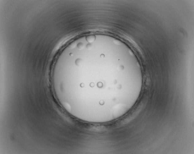 X0000115590978200911100927