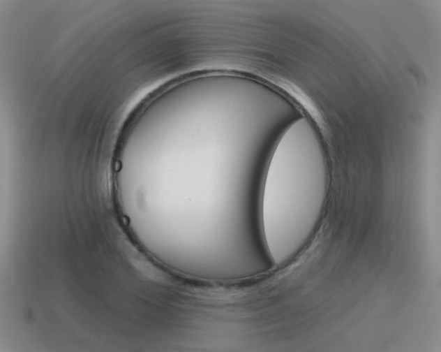 X0000115590980200911100927