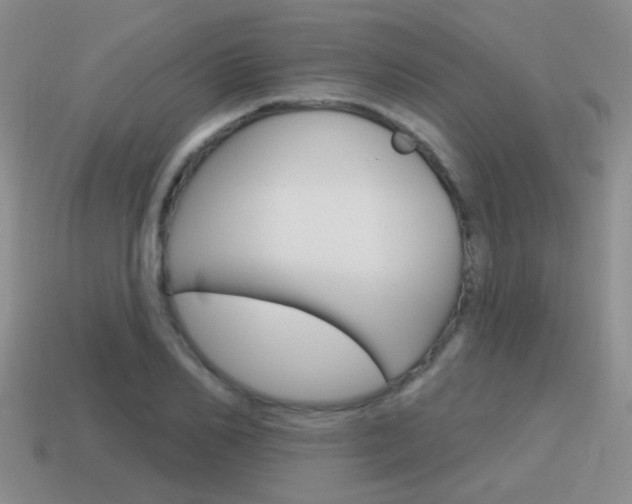X0000115590982200911100927