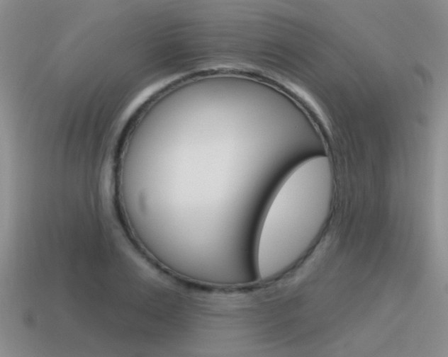 X0000115590983200911100927
