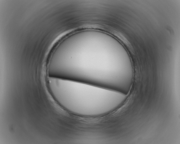 X0000115590984200911100927