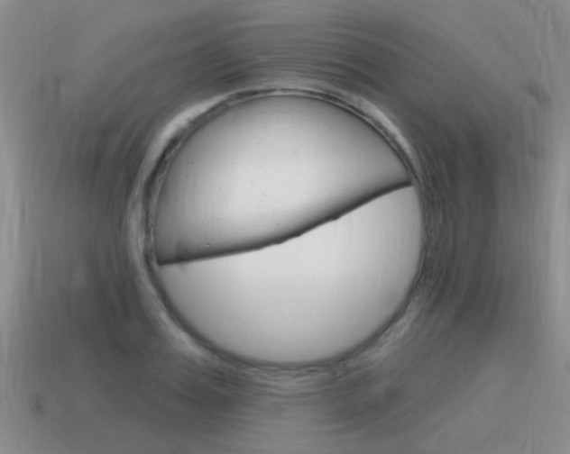 X0000115590987200911100927
