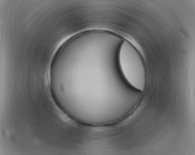 X0000115590988200911100927