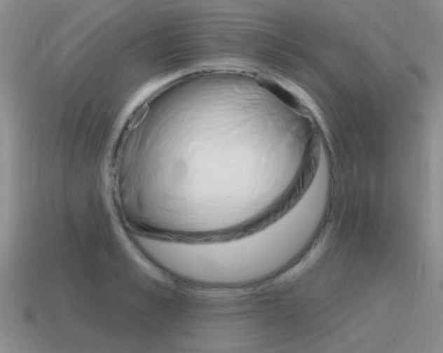 X0000115590989200911100927
