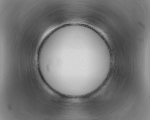 X0000115590990200911100927