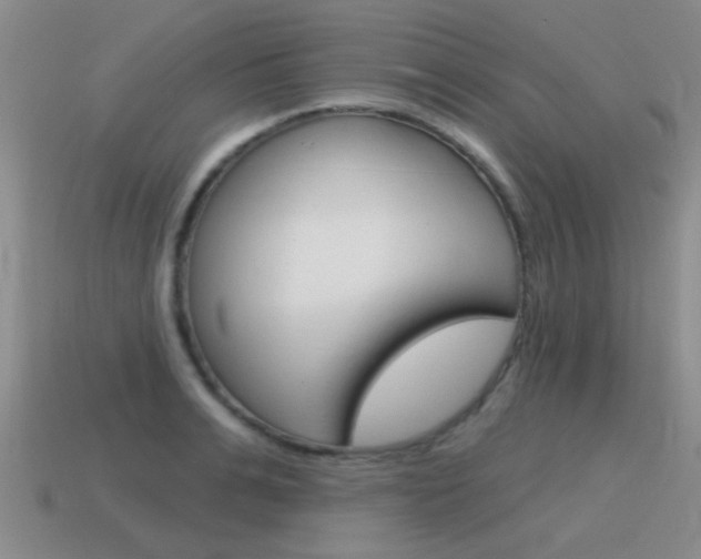 X0000115590991200911100927