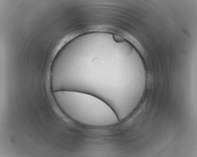 X0000115590994200911100927