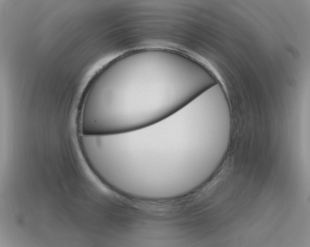 X0000115590995200911100927