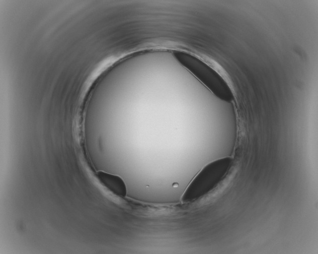X0000115590997200911100927