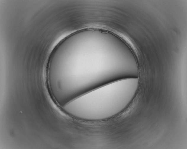 X0000115590999200911100927