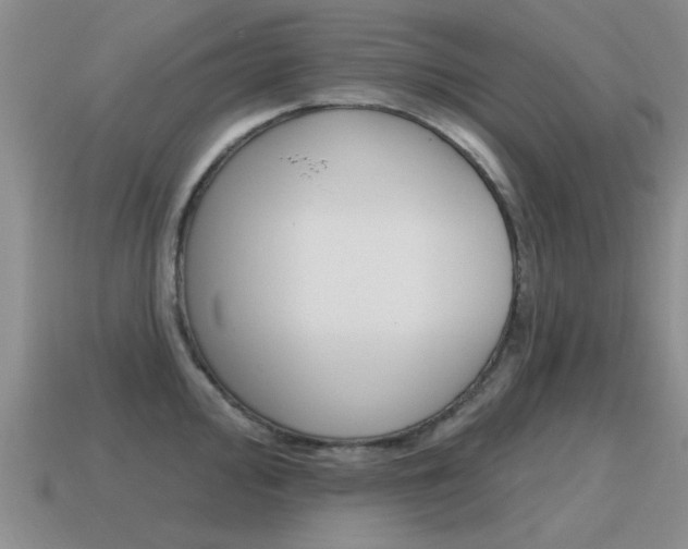 X0000115591000200911100927