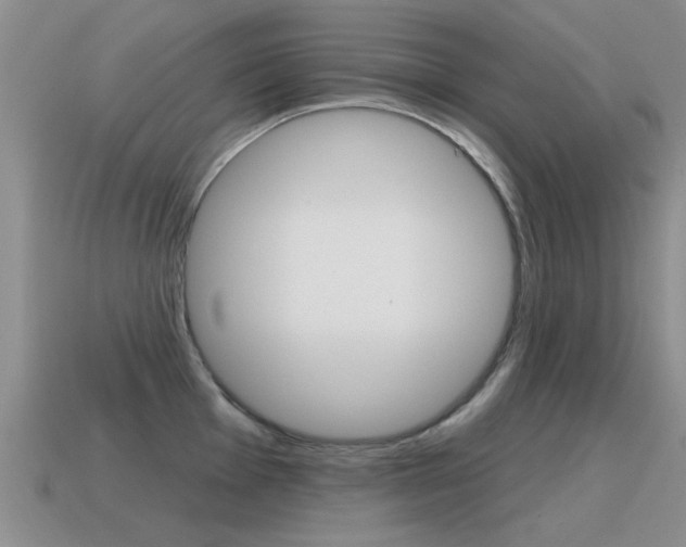 X0000115591001200911100927