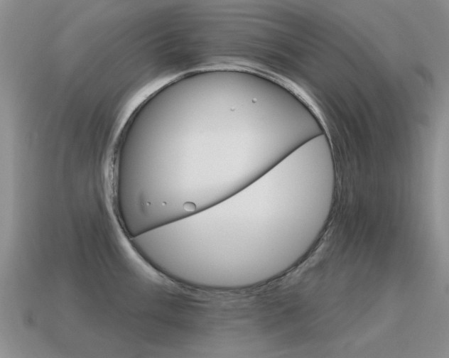 X0000115591003200911100927