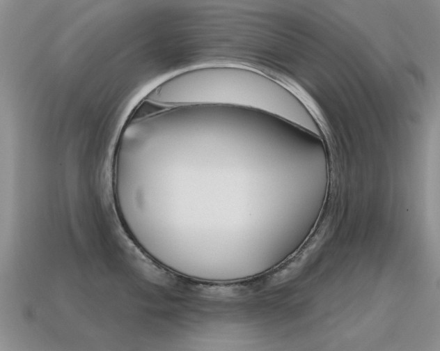 X0000115591004200911100927