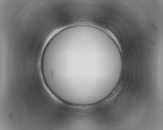 X0000115591005200911100927