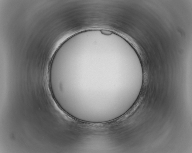 X0000115591006200911100927