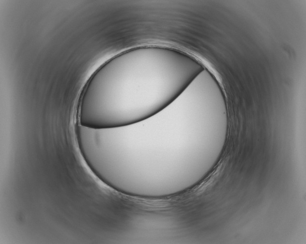 X0000115591007200911100927