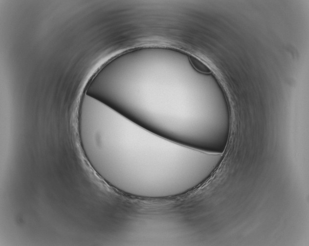 X0000115591008200911100927