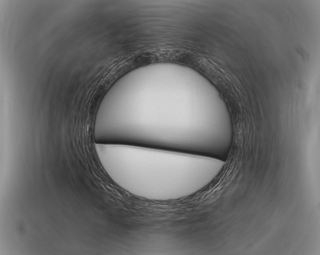 X0000115591010200911100926