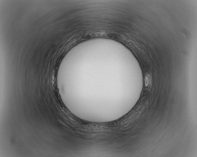 X0000115591011200911100926