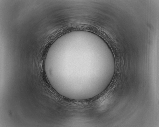 X0000115591013200911100926