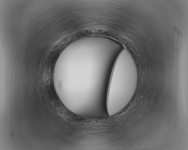 X0000115591014200911100926