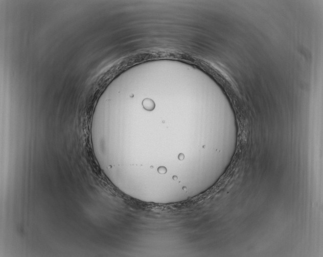 X0000115591015200911100926