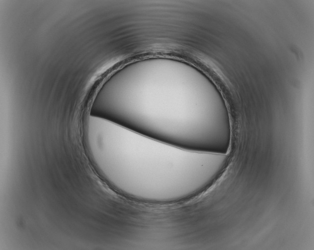 X0000115591018200911100926