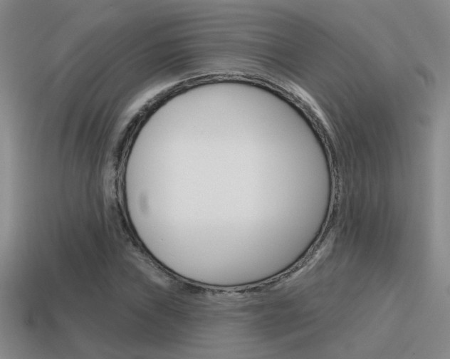 X0000115591019200911100926