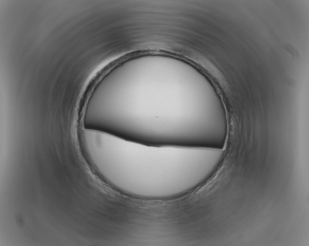 X0000115591020200911100926