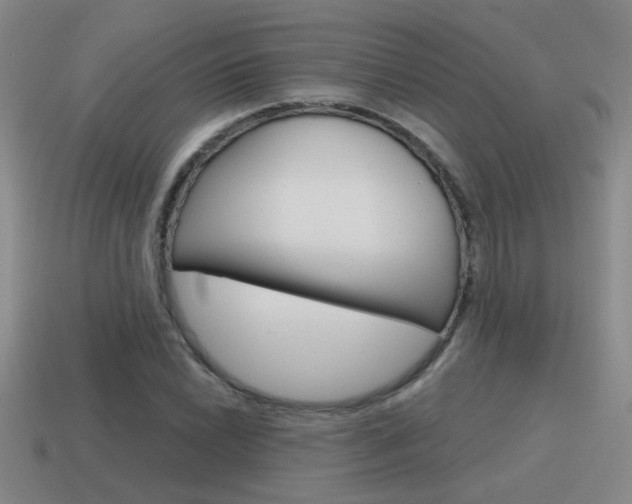 X0000115591022200911100926