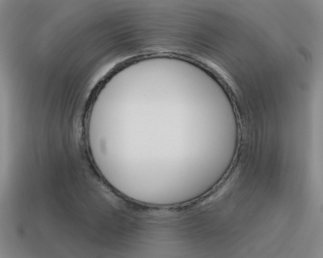 X0000115591023200911100926